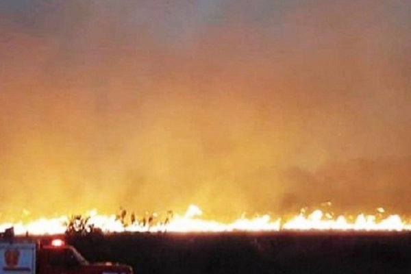 Bomberos combatieron terrible incendio en un campo correntino