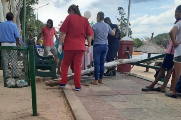 Mburucuyá: Rama de un árbol cayó por la cabeza de una mujer y una nena perdió un dedo