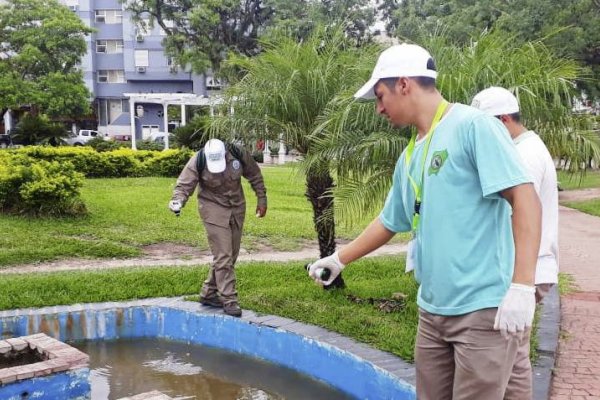 Son 48 casos de dengue en el NEA y detectan otro que viajó desde Corrientes