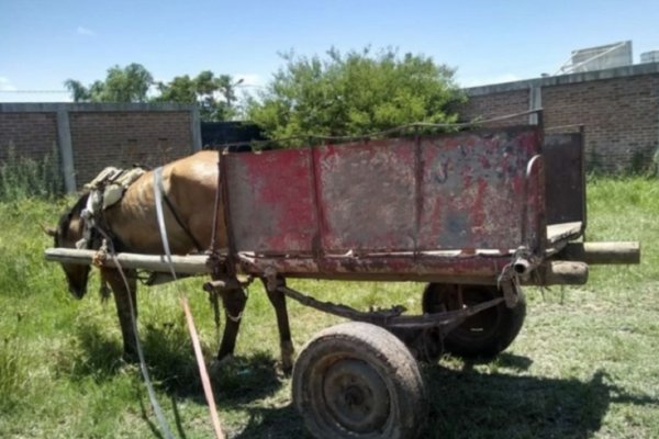 Corrientes: detuvieron a un carrero por estar maltratando a sus caballos