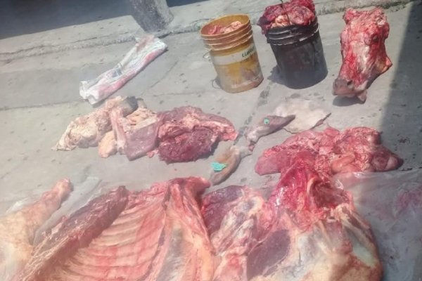 Incautaron 350 kilos de carne vacuna proveniente de faena clandestina