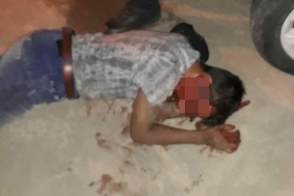 Corrientes: Chita andaba libre después de atropellar y matar a un nene en 2011