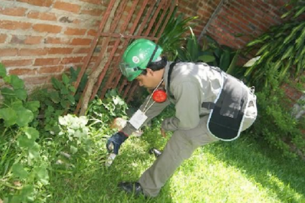 El Ministerio de Salud de Corrientes confirmó 35 casos de dengue, ninguno de gravedad