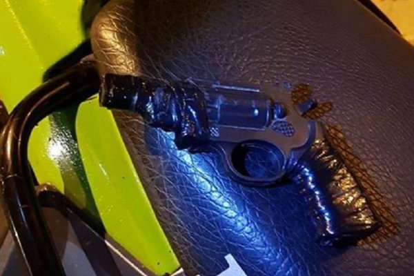 Cobraban peaje con un arma de juguete frente al jardín Botánico