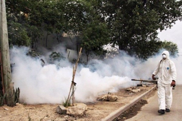 Desde salud afirman: Hay que tenerle más miedo al dengue que al Coronavirus