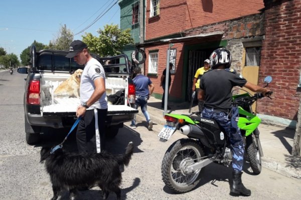 Recuperaron parte de las joyas robadas a un local céntrico de Corrientes