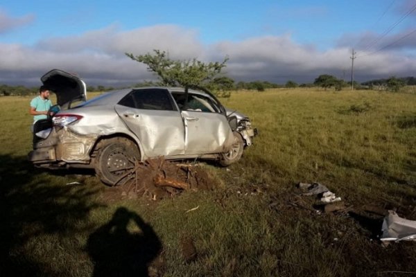 Arrolló a un carpincho, despistó e impactó contra un poste de luz