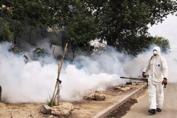 Dengue: Notifican treinta casos más que hace una semana en Corrientes