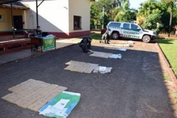 Misiones: Reciben un llamado y decomisan 276 kilos de marihuana ocultos en la vegetación