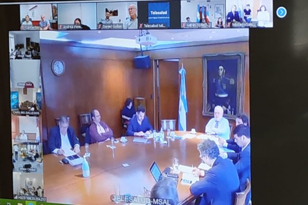 Corrientes: El Ministro de Salud participó de una nueva reunión del Consejo Federal