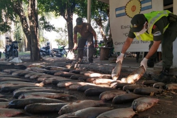 Decomisaron más de 90 pescados en Paso de la Patria y San Cosme