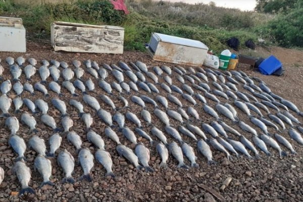 Prefectura secuestró más de 100 ejemplares de pescado en Ituzaingó
