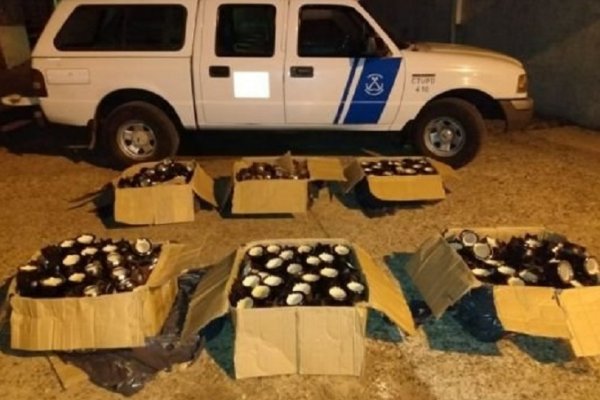 Monte Caseros: Secuestraron contrabando de mates y bombillas