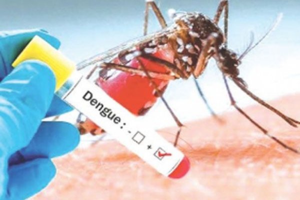 Se diagnosticaron 11 nuevos casos de dengue en Corrientes