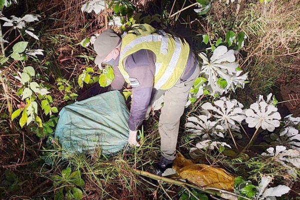 Hallan más de 36 kilos de marihuana abandonados en cercanías del Río Paraná