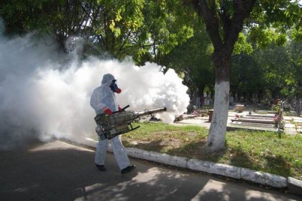 Dengue en Corrientes: El frío colabora para que el ciclo finalice