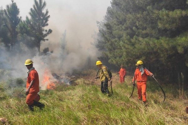 Nueve localidades en alerta por alto riesgo de incendios por la sequía