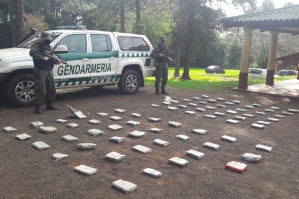 Misiones: Gendarmes hallan 92 kilos de marihuana mientras realizaban un patrullaje a pie
