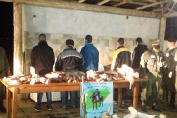 Desbaratan una banda dedicada a faenar vacas: Cinco detenidos