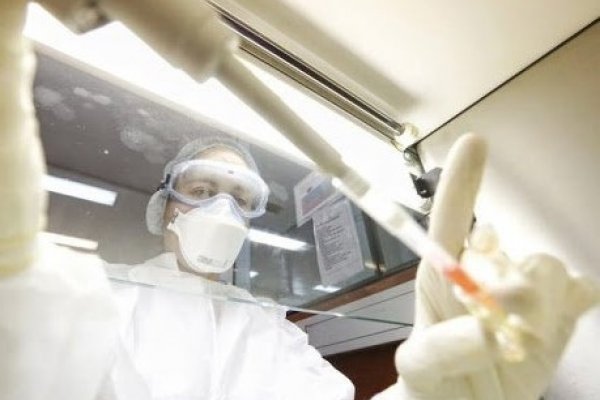 Coronavirus en Argentina: Confirman 51 muertes y 3.604 casos en las últimas 24 horas