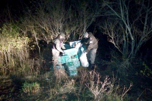 Corrientes: Hallan más de 600 kilos de marihuana entre malezas