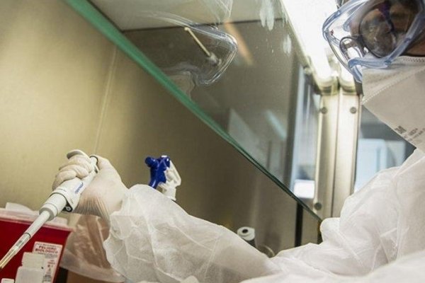 Coronavirus en Argentina: Reportaron 26 muertes y otro récord de contagios en 24 horas