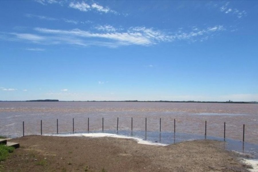 El Río Uruguay comenzó a bajar a un ritmo de un centímetro por hora