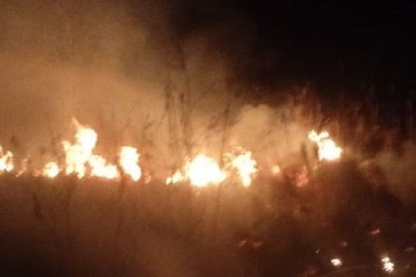 Fuego descontrolado causó pánico en el ba­rrio Pe­ri­chón