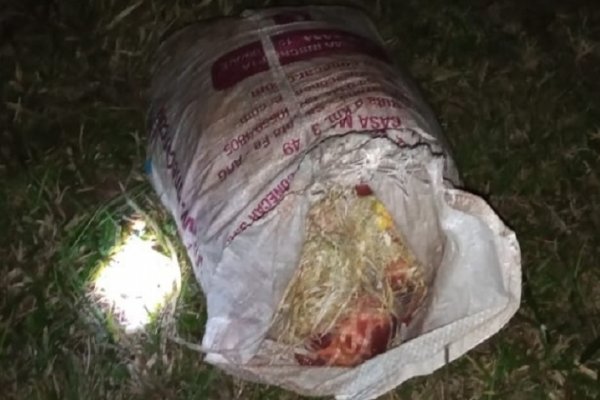 Cuatreros detenidos en Santo Tomé