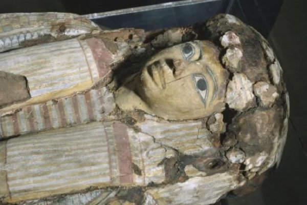 Hallan momia egipcia de más de 2.500 años parecida a un niño y que no era humana