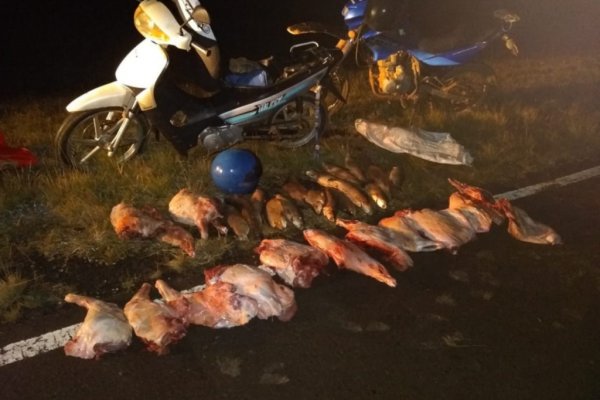 Corrientes: Detectaron caza furtiva y pesca indiscriminada en el río Miriñay