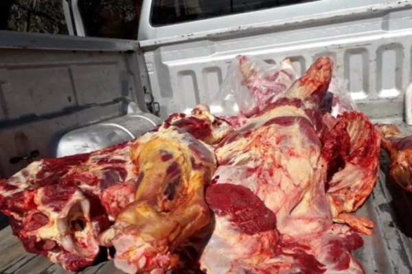 Secuestraron 150 kilos de carne bovina de faena clandestina