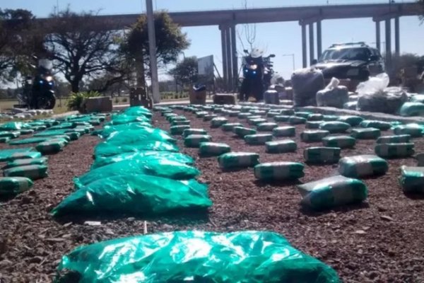 Abrieron 42 encomiendas y hallaron más de 400 kilos de hojas de coca