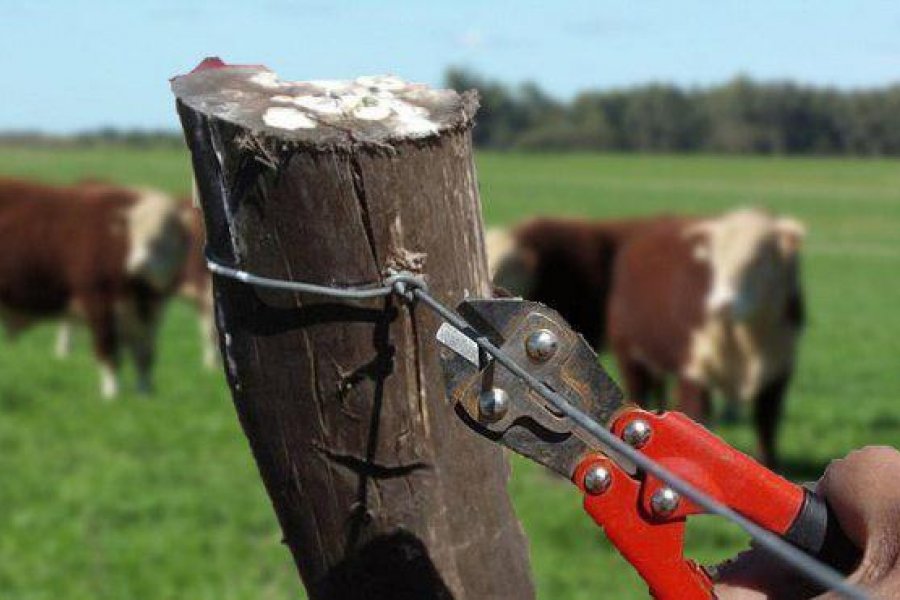 Productores rurales plantean mesa para detener el abigeato
