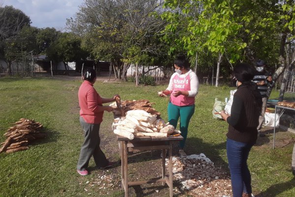 Productoras fabricaron almidón con mandioca traída de San Miguel