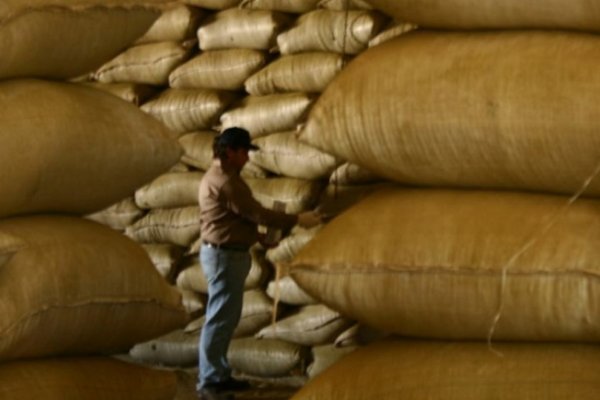 La yerba mate sigue sumando calidad y beneficios a la salud