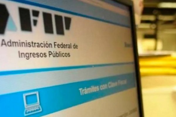 La AFIP postergó hasta el 31 de agosto la suspensión de embargos a las empresas