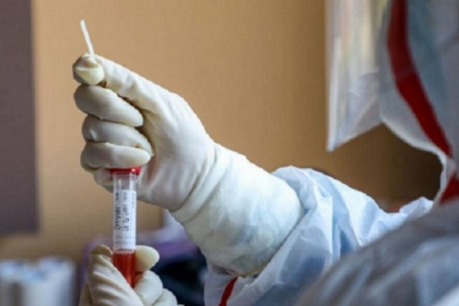 Coronavirus en Chaco: 2.974 personas ya se encuentran recuperadas