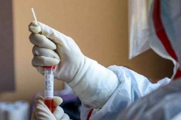 Coronavirus en Chaco: 2.974 personas ya se encuentran recuperadas