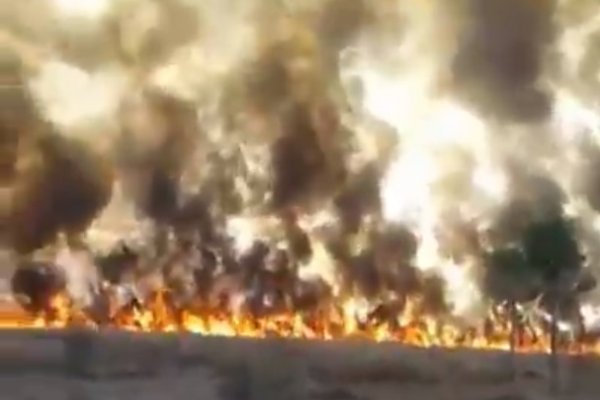Impactante incendio afectó 600 hectáreas del Parque Nacional Chaco