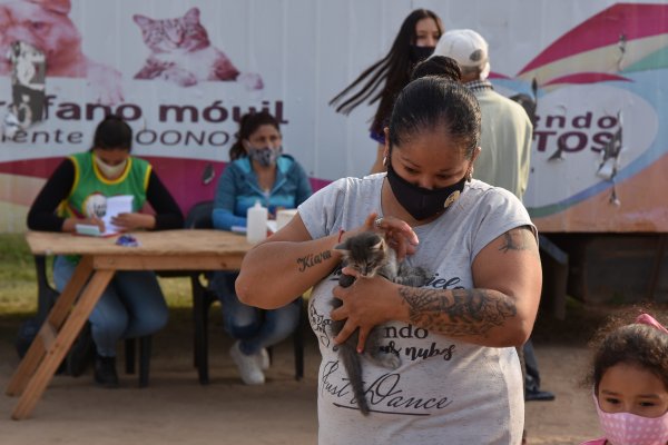 Las delegaciones Móviles llevaron servicios al Doctor Montaña