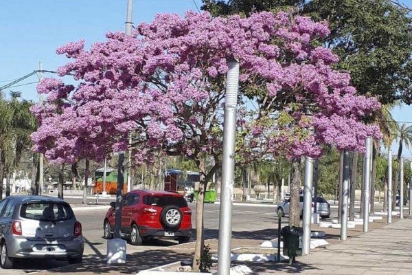 Se espera un sábado caluroso en Corrientes