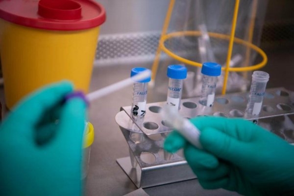 Rusia anuncia que su vacuna contra el coronavirus estará certificada el 12 de agosto