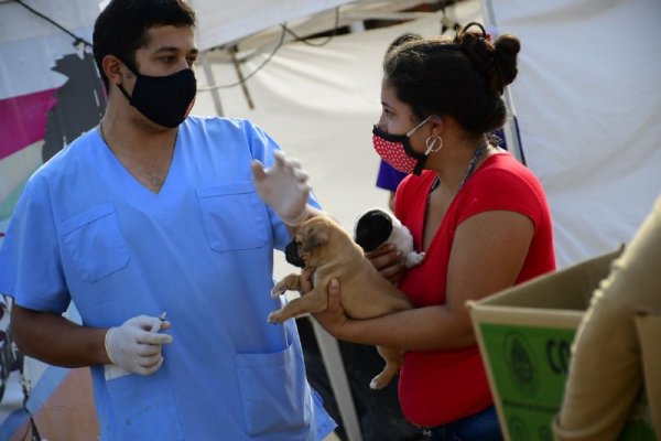 Las prestaciones gratuitas llegan a tres barrios esta semana