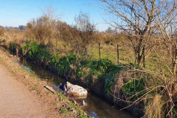 Muerta, metida en una bolsa y tirada en un zanjón