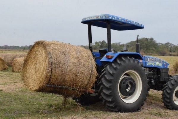 Entregaron rollos de pasturas pequeños productores para afrontar la seca