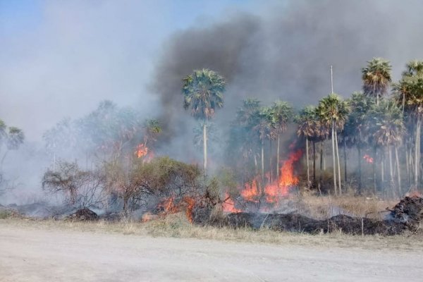 Alertan que en Formosa ya se quemaron 40.000 hectáreas