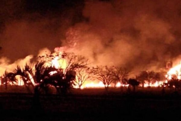 Preocupante cifra de incendios de pastizales por día en Capital