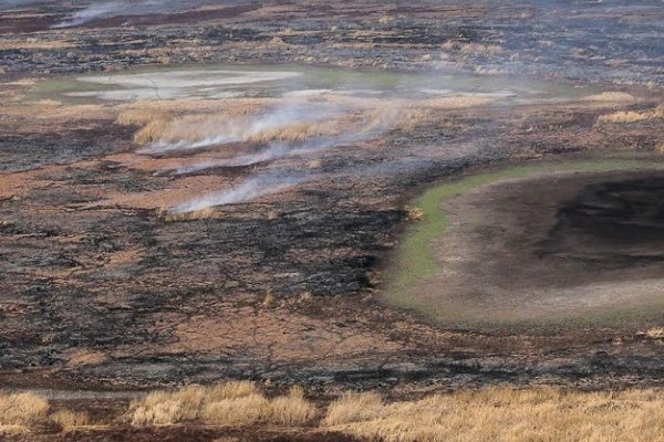 Si seguimos explotando la naturaleza en el futuro  sólo se conocerán los bosques y ríos por fotos