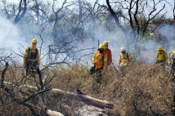 En la última semana se registraron 1579 focos de fuego en Chaco